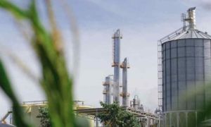 Biocombustibles: entre la promoción estatal y la necesidad de una reforma para ganar competitividad