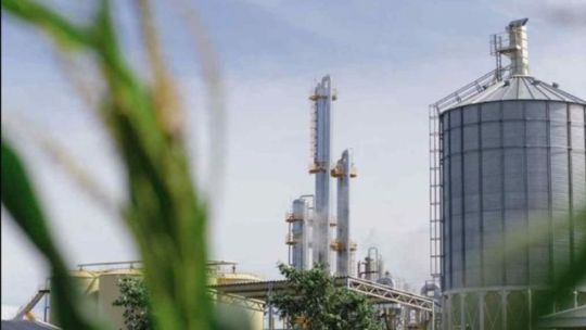 Biocombustibles: el Senado avanzó con un dictamen que eleva los cortes de nafta y gasoil