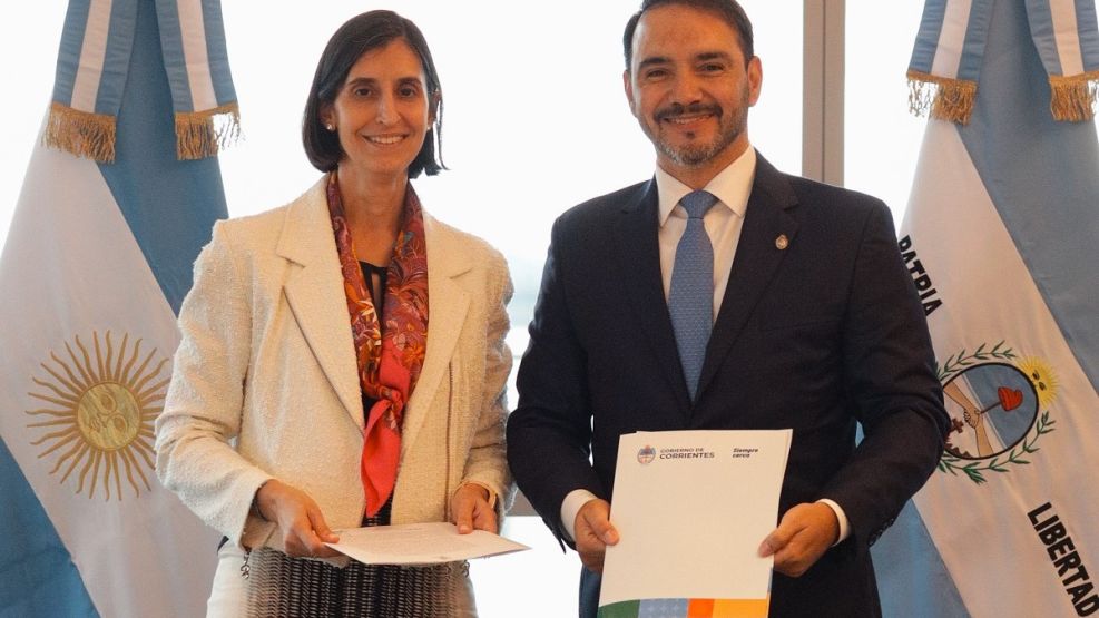 planta de fibra de pino corrientes