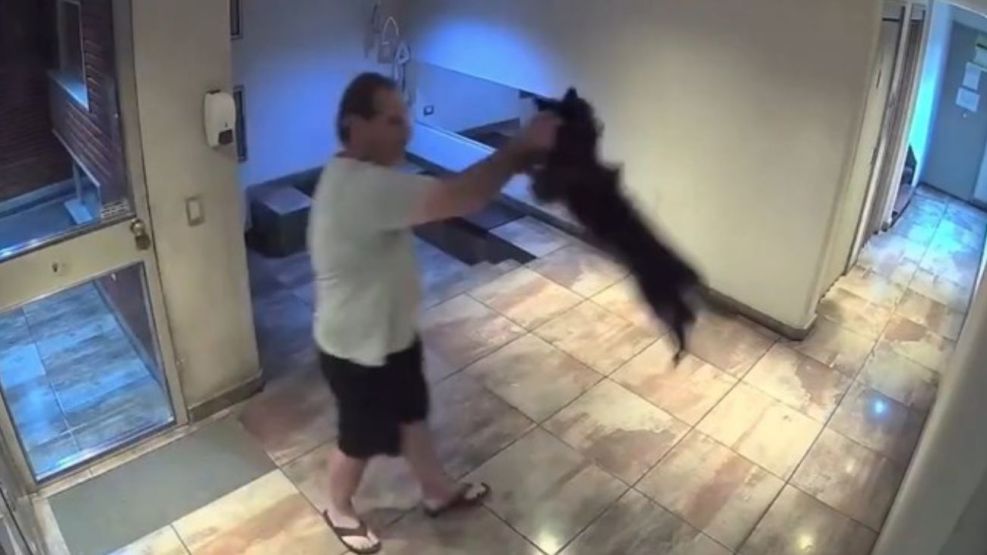 Un hombre fue detenido en el barrio de Palermo tras protagonizar una escena de brutal maltrato animal