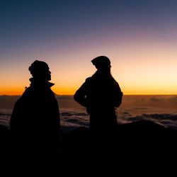 Luminiscencia y el arribo de tortugas, dos de las actividades nocturnas que se pueden hacer en Panamá.