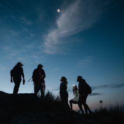Luminiscencia y el arribo de tortugas, dos de las actividades nocturnas que se pueden hacer en Panamá.