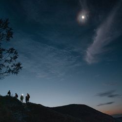 Luminiscencia y el arribo de tortugas, dos de las actividades nocturnas que se pueden hacer en Panamá.