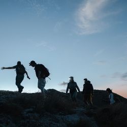 Luminiscencia y el arribo de tortugas, dos de las actividades nocturnas que se pueden hacer en Panamá.