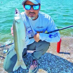 15 lagunas de la provincia de Buenos Aires que dan los pejerreyes más combativos.