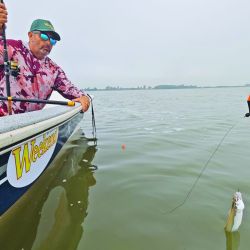 15 lagunas de la provincia de Buenos Aires que dan los pejerreyes más combativos.