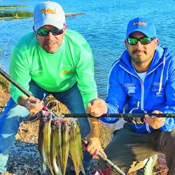 15 lagunas de la provincia de Buenos Aires que dan los pejerreyes más combativos.