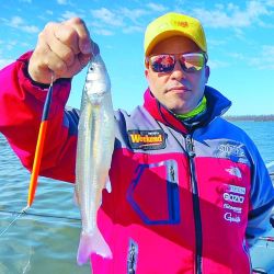 15 lagunas de la provincia de Buenos Aires que dan los pejerreyes más combativos.