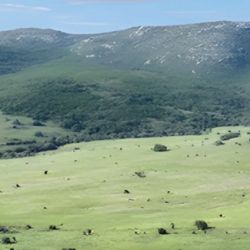 Es el segundo geoparque mundial que tiene Uruguay.