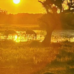 Es una referencia geológica a la formación del Océano Atlántico.