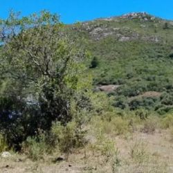 Es una referencia geológica a la formación del Océano Atlántico