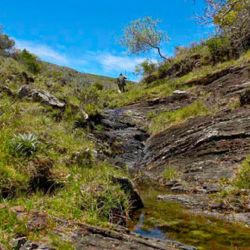 Este paraíso uruguayo de 2.000 kilómetros cuadrados es clave para el abastecimiento de agua y para la memoria del planeta.