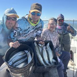 1704_mapa_pique_pesca