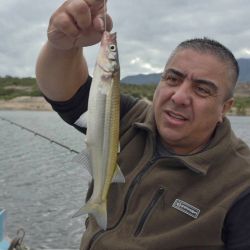 1704_mapa_pique_pesca