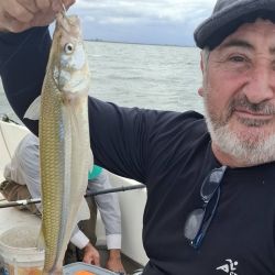 1704_mapa_pique_pesca