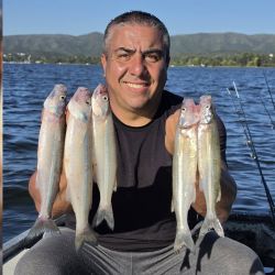 1704_mapa_pique_pesca