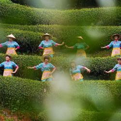 Turistas y agricultores que portan trajes tradicionales locales bailan durante un evento cultural en un jardín de té, en el poblado de Xingcun, en Wuyishan, en la provincia de Fujian, en el sureste de China. | Foto:Xinhua/Chen Ying