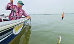 Pejerrey: 15 lagunas para un buen arranque 