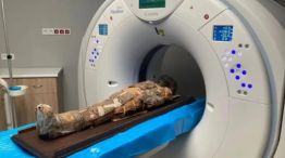 Descubren un papiro debajo de las vendas de una momia en el museo de Polonia. 