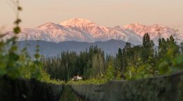 Vino y turismo 17042026