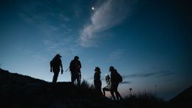 Luminiscencia y el arribo de tortugas, dos de las actividades nocturnas que se pueden hacer en Panamá.