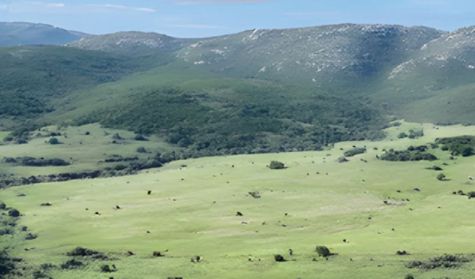 1704_manantiales serranos