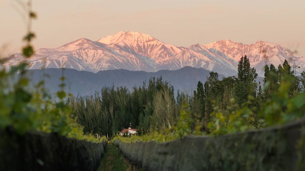 Vino y turismo 17042026