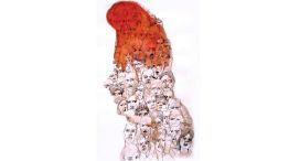 180426_patria_preambulo_temes_g