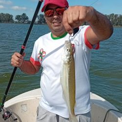  La pesca rindió mejor al garete y contra garete, mientras que los juncos no ofrecieron resultados en esta ocasión. 