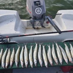  La pesca rindió mejor al garete y contra garete, mientras que los juncos no ofrecieron resultados en esta ocasión. 