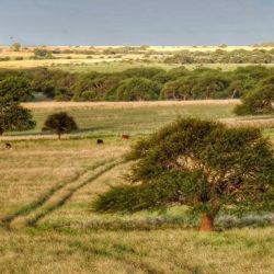En la Reserva Fiorucci de La Pampa se hará una competencia de MTB.