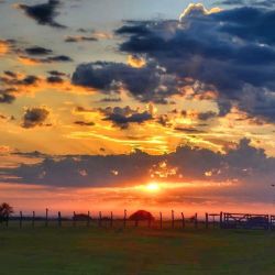 En la Reserva Fiorucci de La Pampa se hará una competencia de MTB.