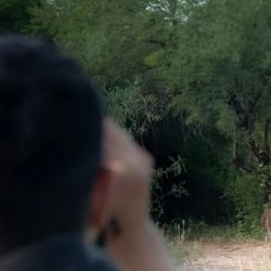 Esta segunda liberación refuerza el compromiso de transformar áreas degradadas en ecosistemas completos y vibrantes para las futuras generaciones