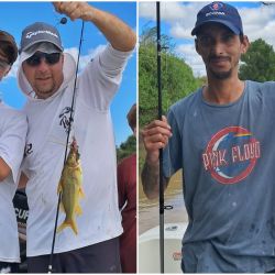 Amarillos, moncholos y patíes lideran las capturas, ofreciendo acción constante durante toda la jornada. A este combo se le pueden sumar sorpresas como bogas, algún dorado o los surubíes, que comienzan a hacerse presentes en la zona en su clásica arribada.