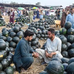 Montones de sandías frescas esperan a los compradores mientras intermediarios y comerciantes negocian acuerdos en un mercado de frutas en Peshawar, Pakistán. | Foto:Abdul Majeed / AFP