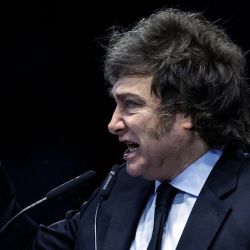 Javier Milei | Foto:CEDOC