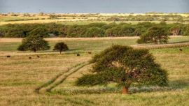 En la Reserva Fiorucci de La Pampa se hará una competencia de MTB.