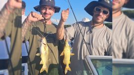 Amarillos, moncholos y patíes lideran las capturas, ofreciendo acción constante durante toda la jornada. A este combo se le pueden sumar sorpresas como bogas, algún dorado o los surubíes, que comienzan a hacerse presentes en la zona en su clásica arribada.
