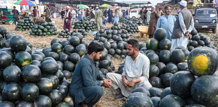 Montones de sandías frescas esperan a los compradores mientras intermediarios y comerciantes negocian acuerdos en un mercado de frutas en Peshawar, Pakistán.