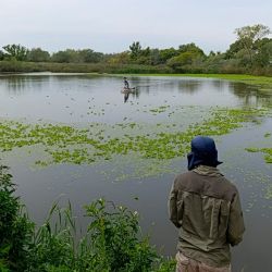 Más allá de la acuicultura, el proyecto abre una puerta muy interesante: la creación de nuevos pesqueros alternativos, especialmente en zonas donde los ambientes naturales son escasos o están muy presionados.