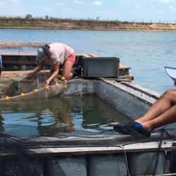 Más allá de la acuicultura, el proyecto abre una puerta muy interesante: la creación de nuevos pesqueros alternativos, especialmente en zonas donde los ambientes naturales son escasos o están muy presionados.