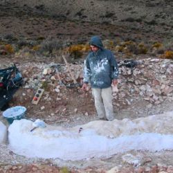Los restos fueron hallados en la formación Cañadón Calcáreo, dentro de la meseta central chubutense