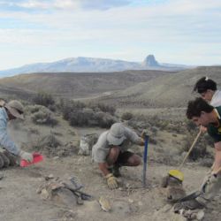 El nombre de la especie tiene un fuerte vínculo con quien encontró los primeros restos, el poblador rural Leonides Mesa