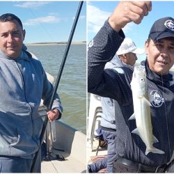La pesca se afirmó en las últimas semanas, con un pejerrey que ronda entre los 35 y 45 cm, en una actividad que se logra a flote, con aparejos tradicionales de tres boyas, o la famosa línea versátil, un aparejo muy utilizado en las lagunas del oeste bonaerense. 