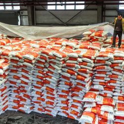 Imagen de trabajadores cubriendo fertilizantes con láminas en un almacén de la Estación del Ferrocarril de Niuchang del Ferrocarril Weng'an-Machangping, en la provincia de Guizhou, en el suroeste de China. Para garantizar el suministro oportuno de fertilizantes para la producción agrícola de primavera, el operador del Ferrocarril Weng'an-Machangping ha intensificado sus labores de gestión y organización. Este año, la línea ha transportado más de 1.664 vagones de carga de fertilizantes, con un total de más de 100.000 toneladas. | Foto:Xinhua/Yang Wenbin