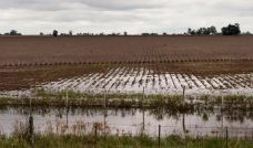 Campos inundados