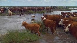 Inundaciones en Vera, Santa Fe 21042026