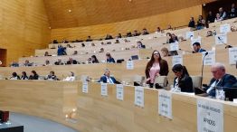 Sesión: El PJ habló de la crisis del PAMI y la oposición le apuntó al Apross