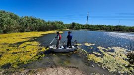 De cavas abandonadas a nuevos ámbitos de pesca: estudian sembrar pejerreyes en Buenos Aires