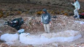 Los restos fueron hallados en la formación Cañadón Calcáreo, dentro de la meseta central chubutense